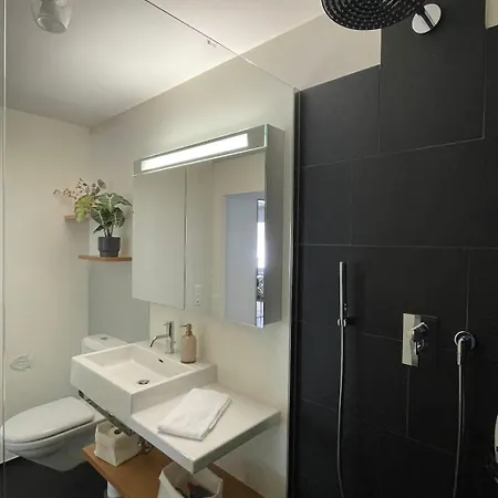 Swiss Horizon - Bergsuite 112 M2 Mit 2 Ensuite-baedern & 52 M2 Terrassenflaeche *